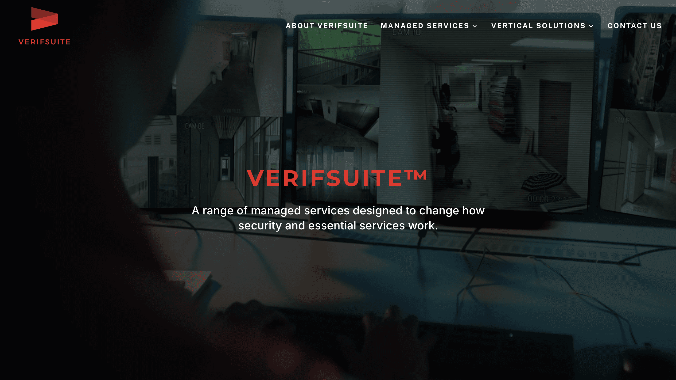 VerifSuite screenshot
